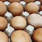nedfrysning-af-raa-aeg-saadan-forbereder-du-produktet-korrekt-til.jpg